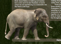 Student Interactive Design